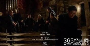 免费国产电影在线观看,免费在线观影之旅  第2张