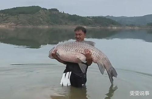 青鱼视频国产,青鱼视频引领国产短视频新潮流 第2张 青鱼视频国产,青鱼视频引领国产短视频新潮流 第2张